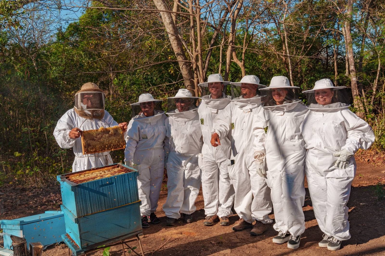 Beekeeping Experience, Papagayo, Costa Rica