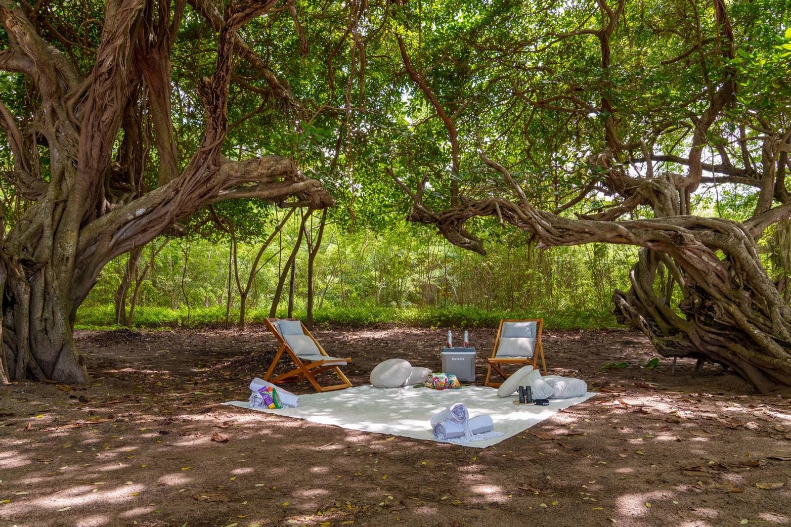 Coastal Discovery & Surf Lessons, Guanacaste Coast, Costa Rica