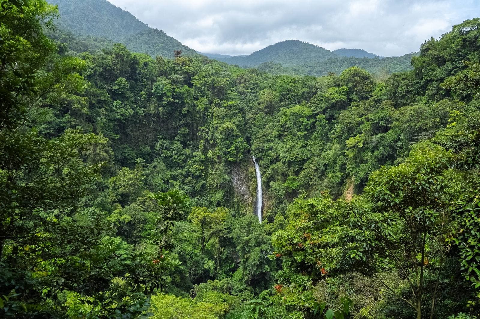 Danaus Eco-Center & La Fortuna Waterfall, La Fortuna, Costa Rica