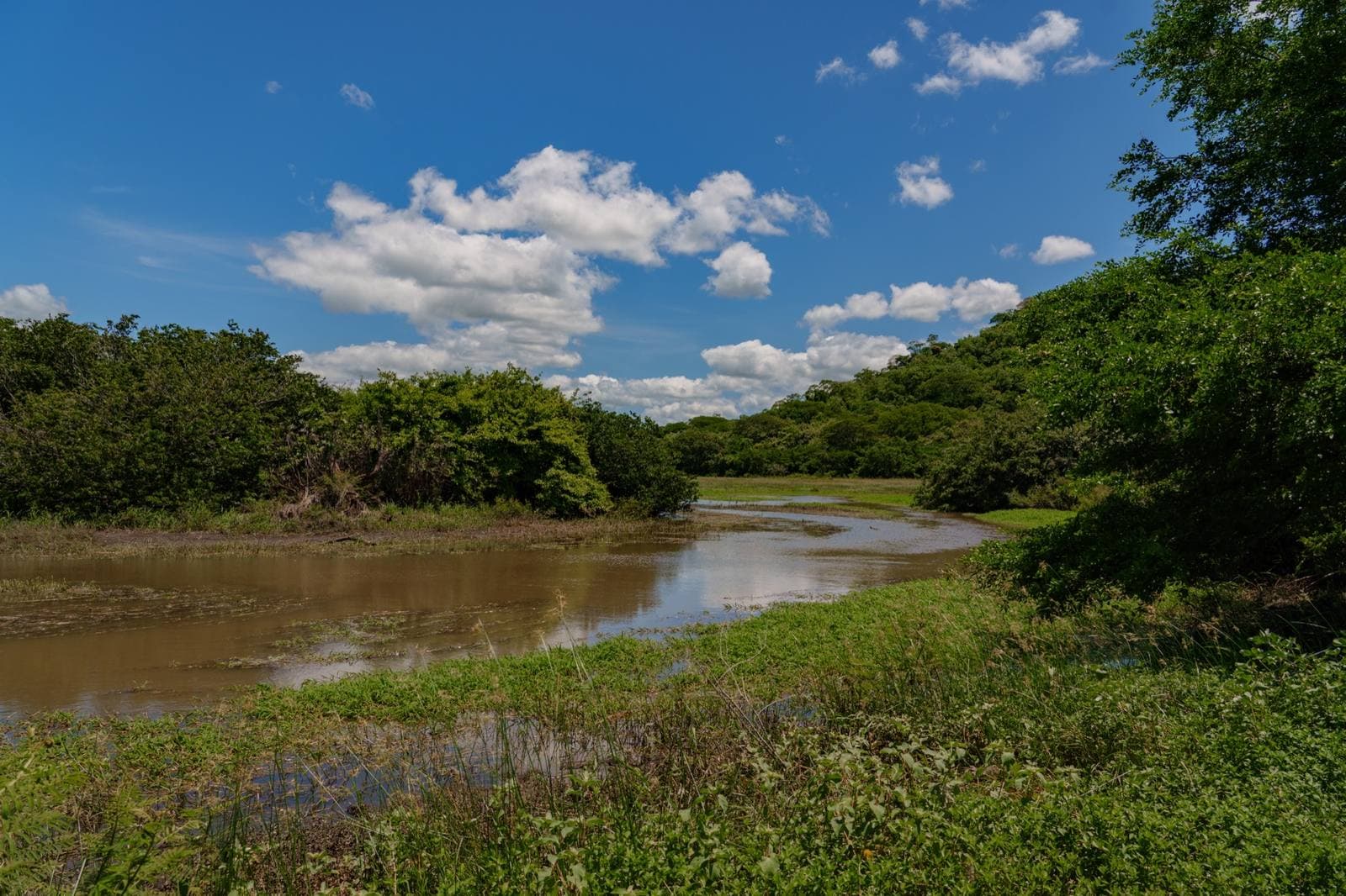 Finca El Roble Birdwatching Experience, Liberia Countryside, Costa Rica