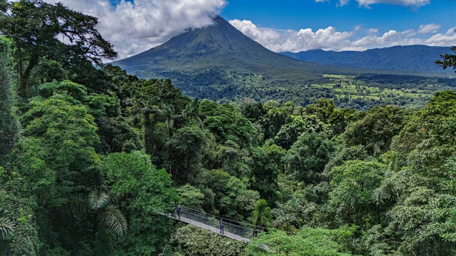 Mistico Hanging Bridges · Full Day + Lunch, La Fortuna, Costa Rica