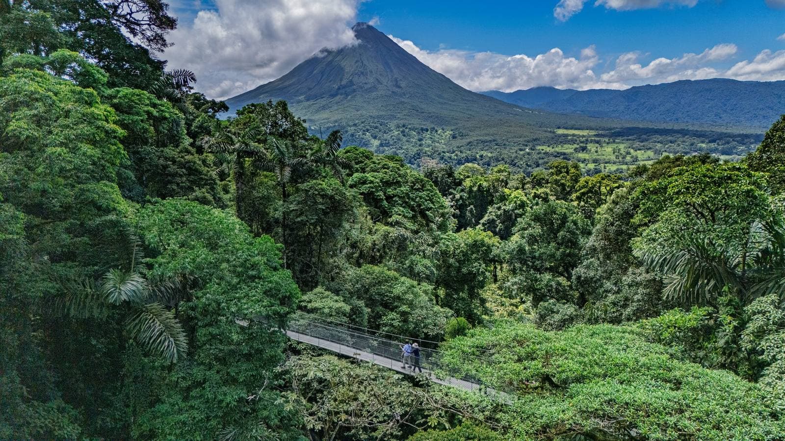 Mistico Hanging Bridges · Half Day, La Fortuna, Costa Rica