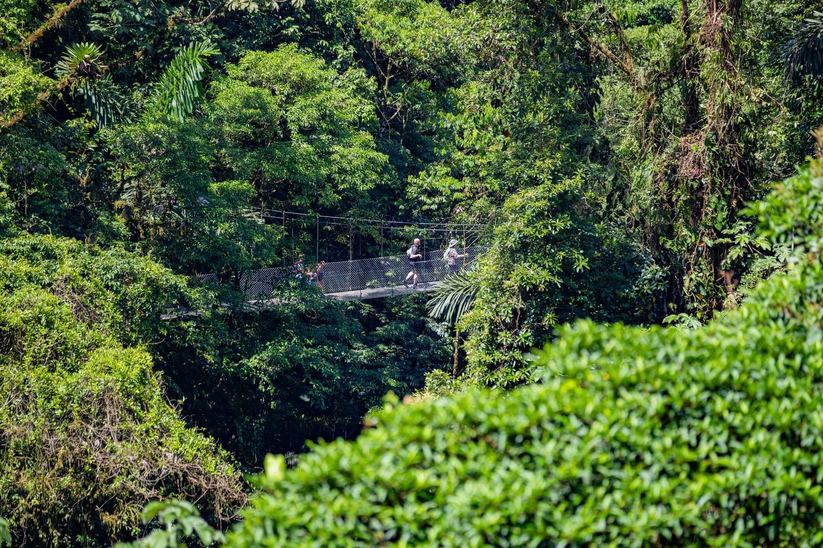 Mistico Hanging Bridges & La Fortuna Waterfall, La Fortuna, Costa Rica