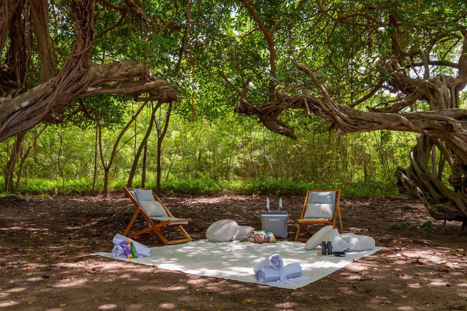 Playas del Coco: Local Discovery & Shopping Experience, Guanacaste Coast, Costa Rica