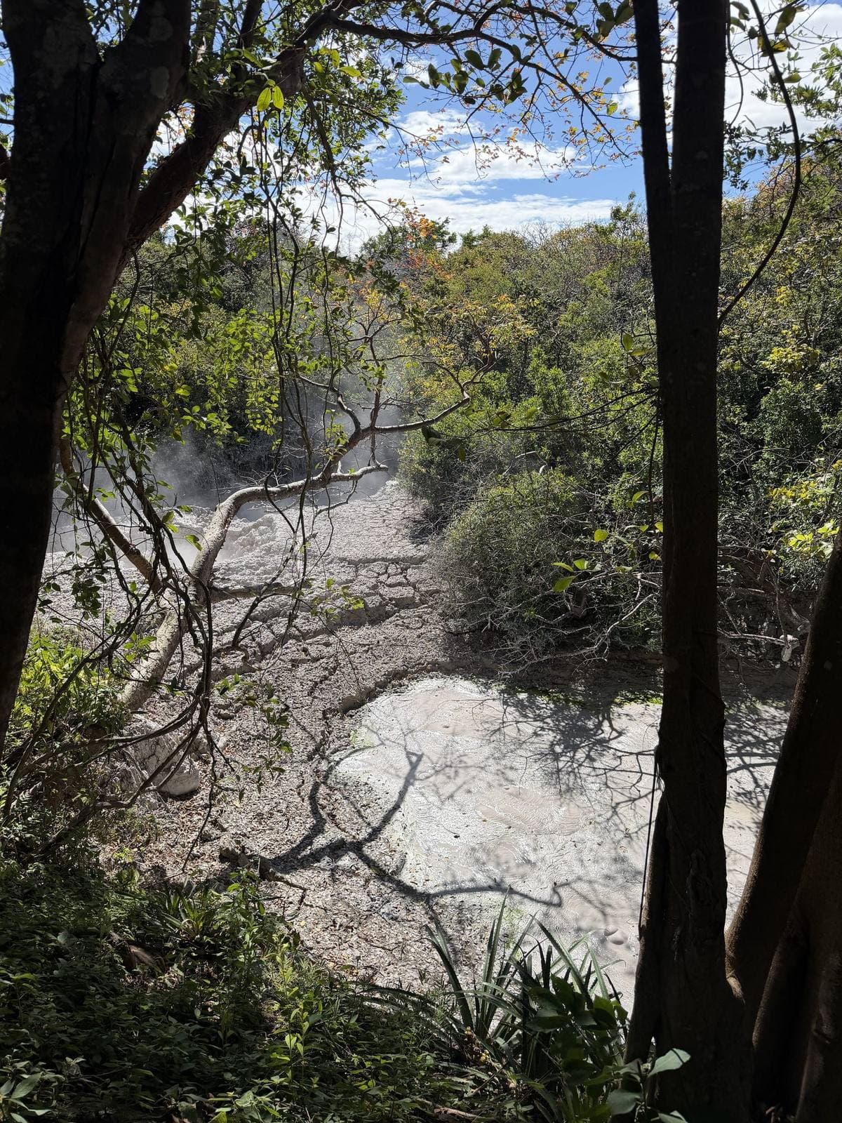 Rincón de la Vieja: Pailas, Oropendola Falls & Hacienda Hot Springs, Rincón de la Vieja, Costa Rica