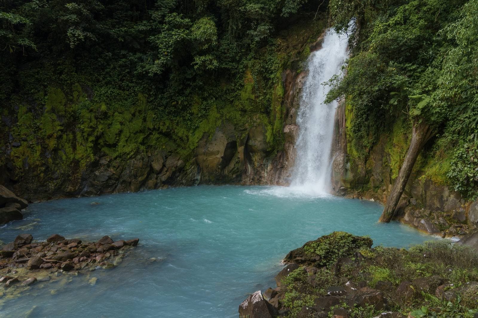 Río Celeste & Tenorio Volcano National Park, Bijagua · Tenorio, Costa Rica