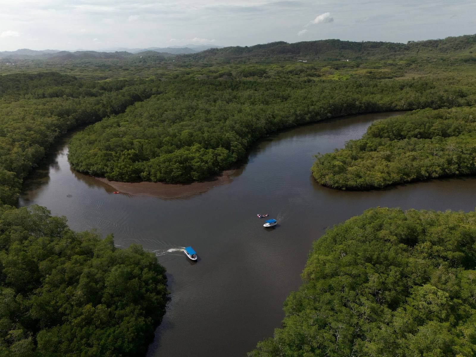 Tamarindo Estuary Boat Tour, Tamarindo, Costa Rica