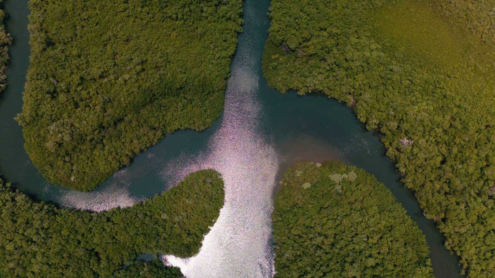 Tamarindo Mangrove Kayak, Tamarindo, Costa Rica