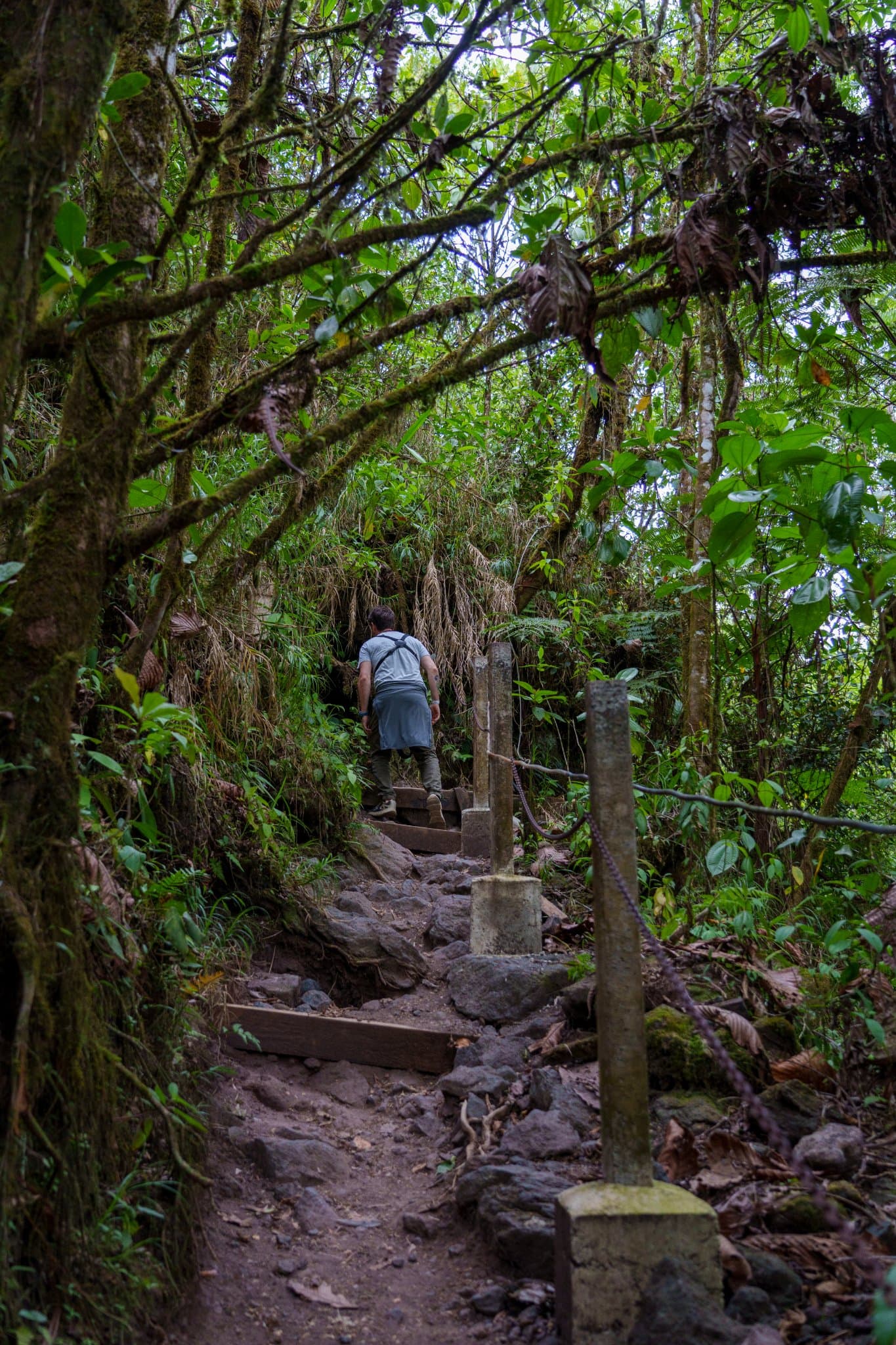 Arenal Trails Full Day, La Fortuna, Costa Rica