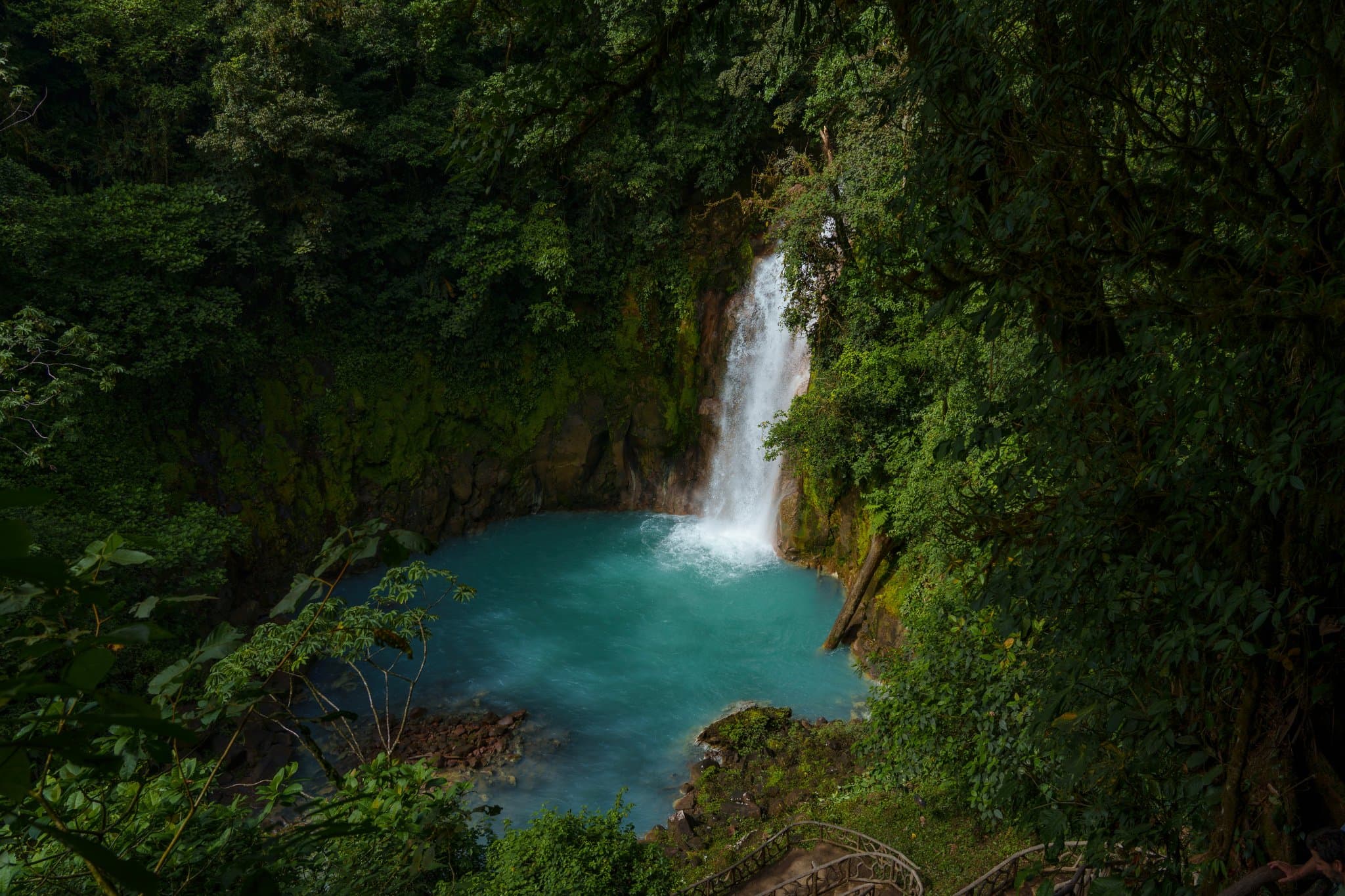 Río Celeste: Waterfall Hike, Sloths & Coffee and Chocolate Experience, Bijagua · Tenorio, Costa Rica